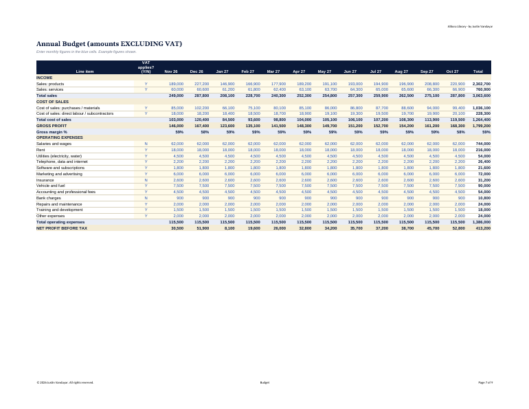Preview page 2 of Budget & 12-Month Cash Flow Spreadsheet